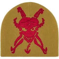 Supreme Y's Skull Beanie